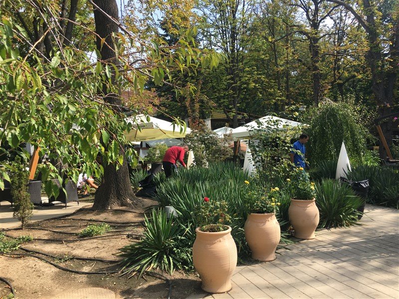 Greenlife Garden - Proiectare, amenajare, intretinere gradini